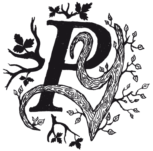 Création du logo pour le musicien PY